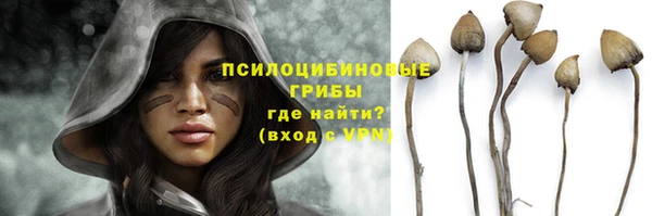 стафф Абинск