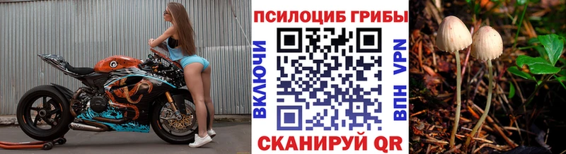Псилоцибиновые грибы ЛСД  Болохово 